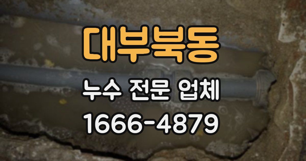 대부북동 누수 전문 업체