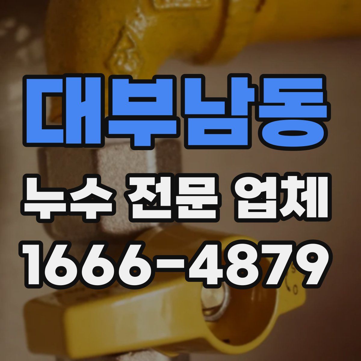 대부남동 누수 전문 업체