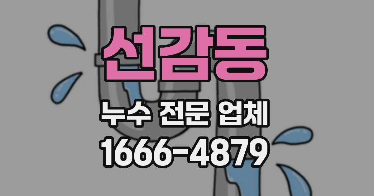 선감동 누수 전문 업체
