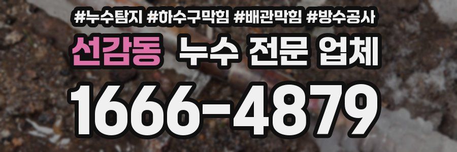 선감동 누수 전문 업체