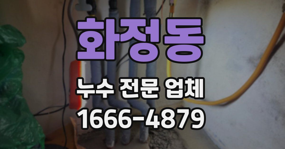 화정동 누수 전문 업체