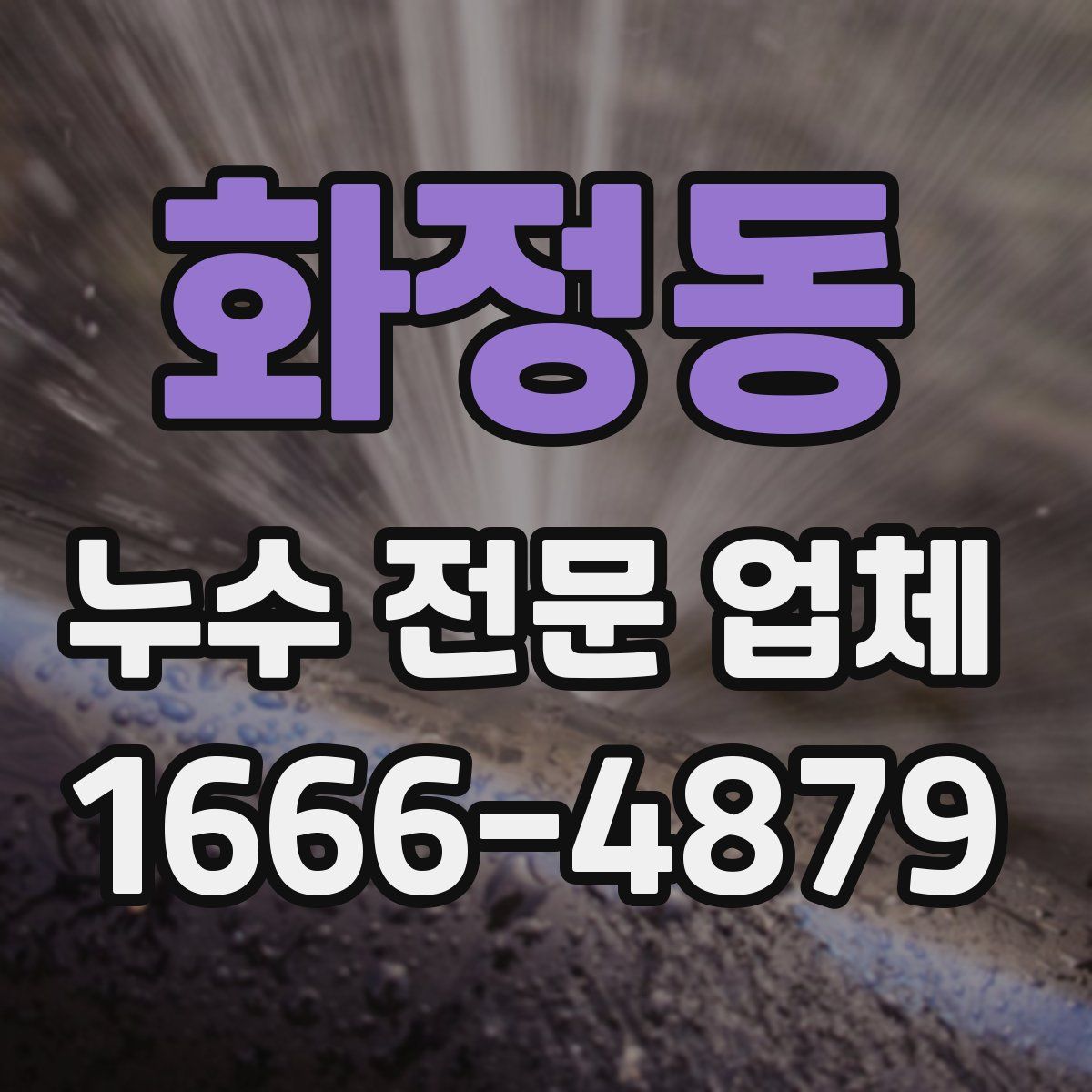화정동 누수 전문 업체