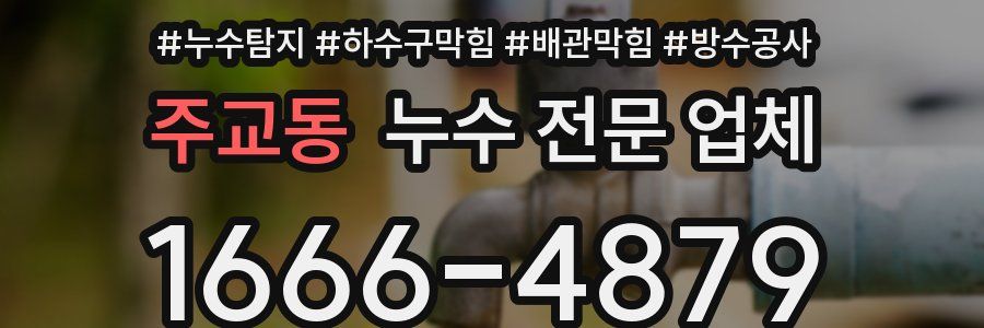 주교동 누수 전문 업체