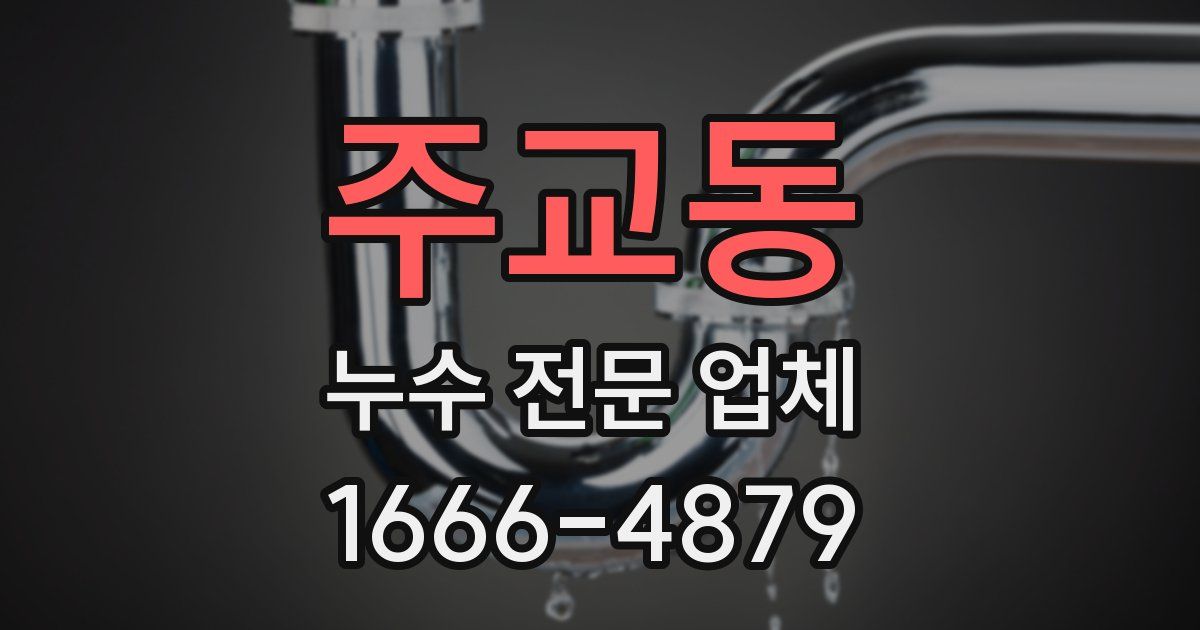 주교동 누수 전문 업체