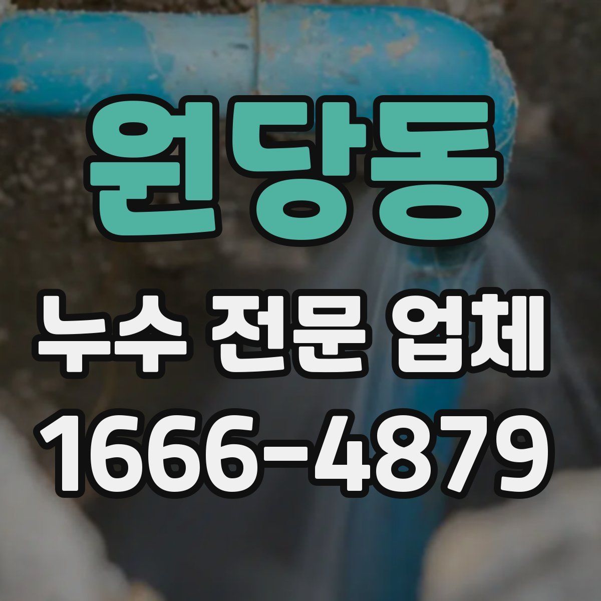 원당동 누수 전문 업체