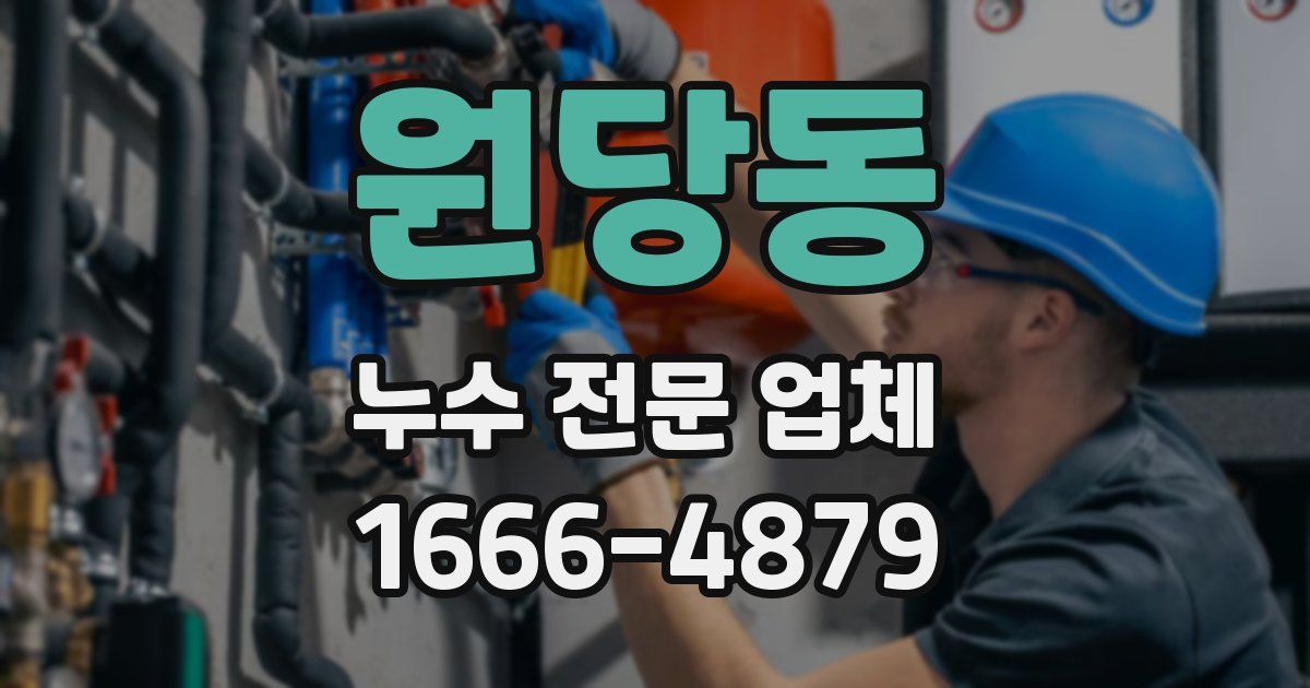 원당동 누수 전문 업체