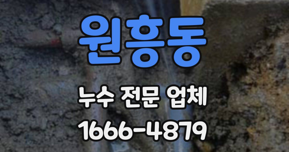 원흥동 누수 전문 업체