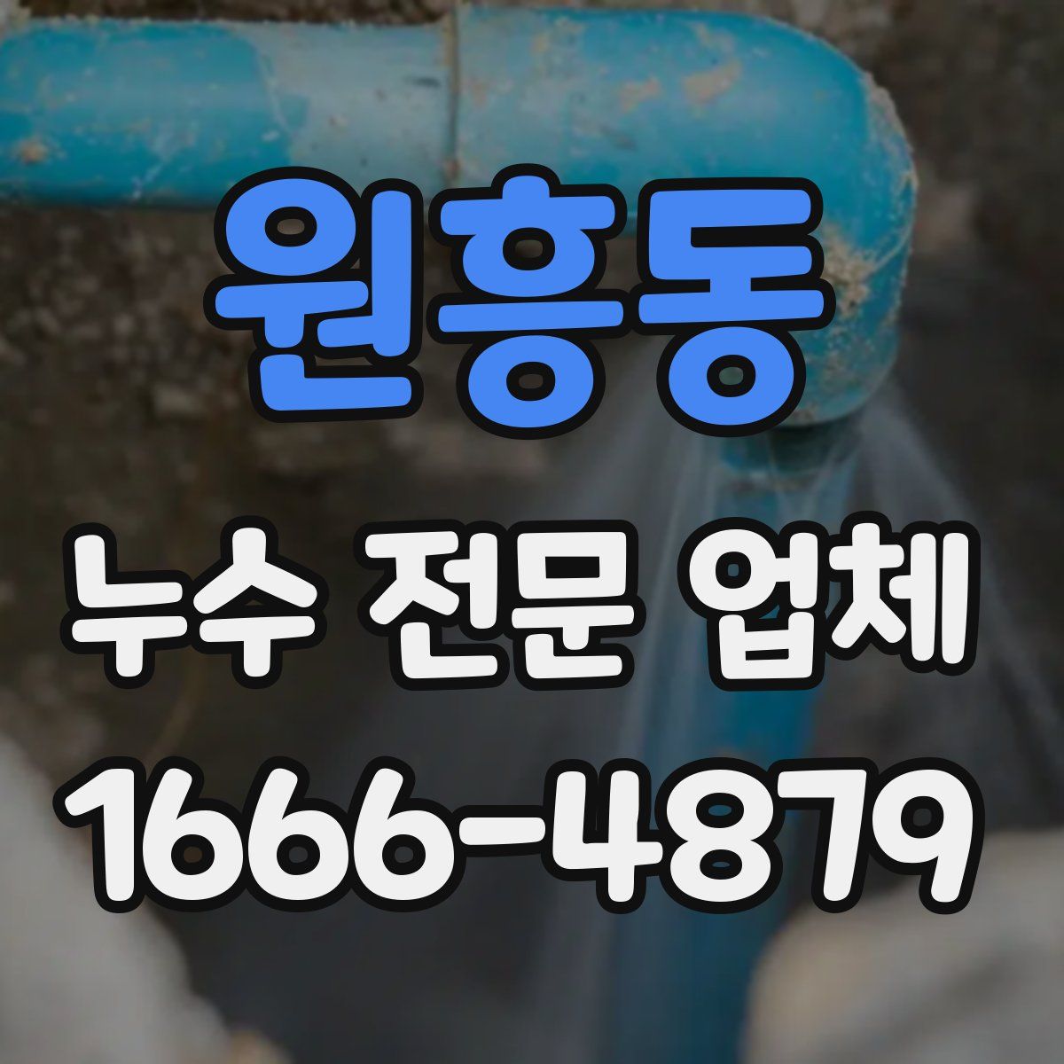 원흥동 누수 전문 업체