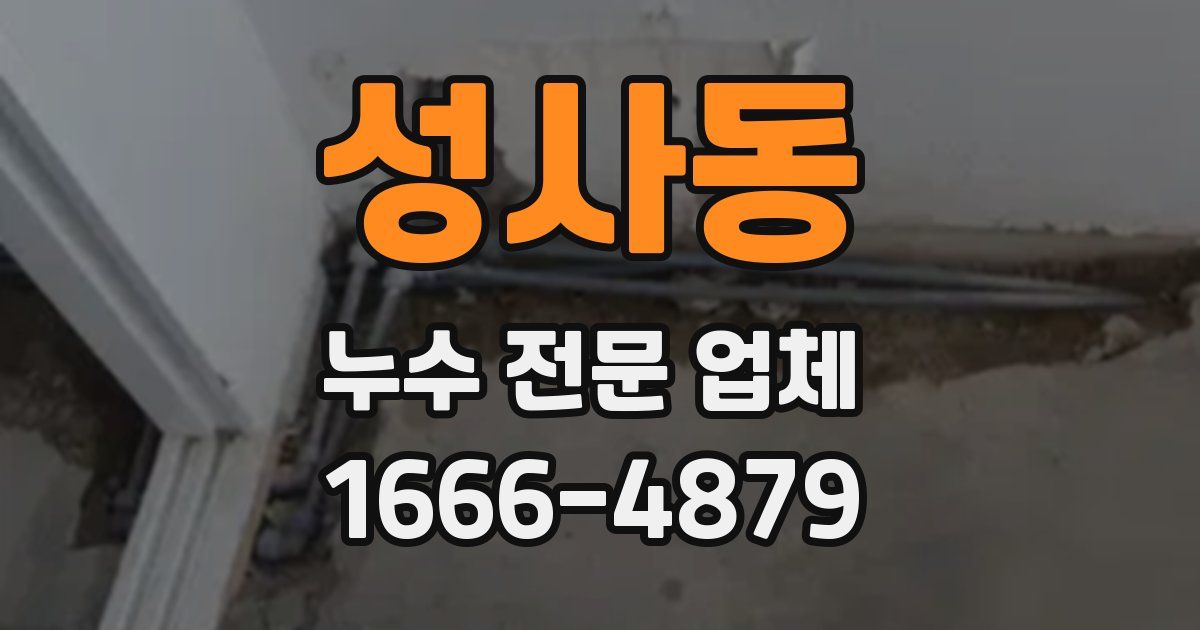 성사동 누수 전문 업체
