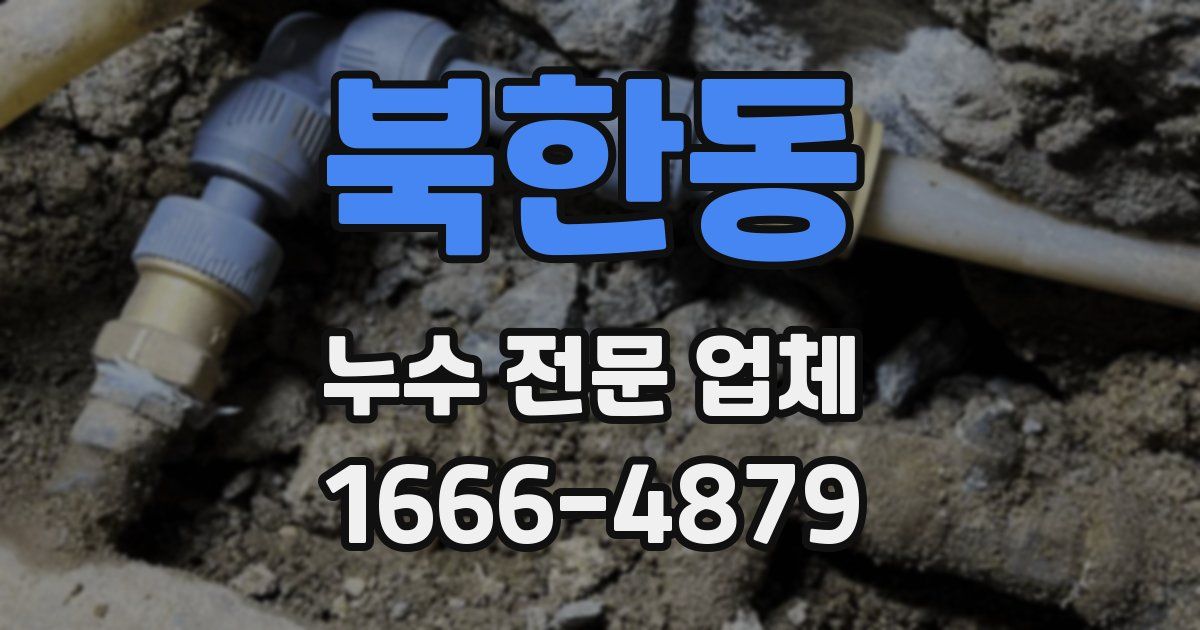 북한동 누수 전문 업체