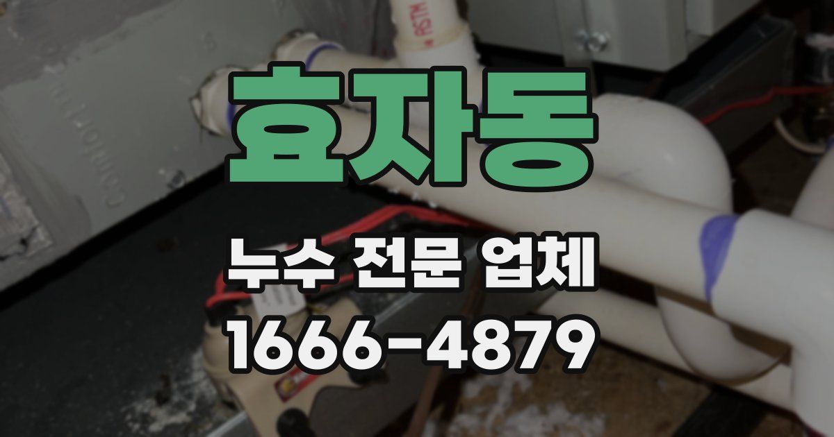 효자동 누수 전문 업체