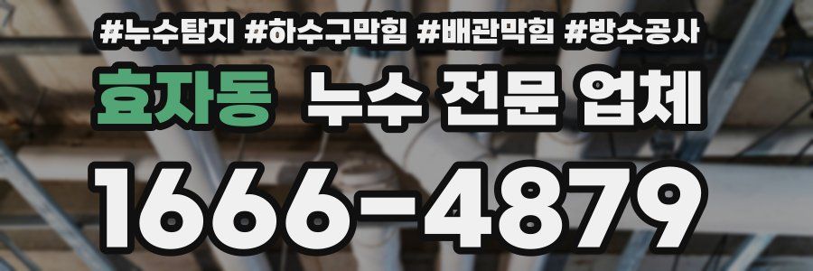 효자동 누수 전문 업체