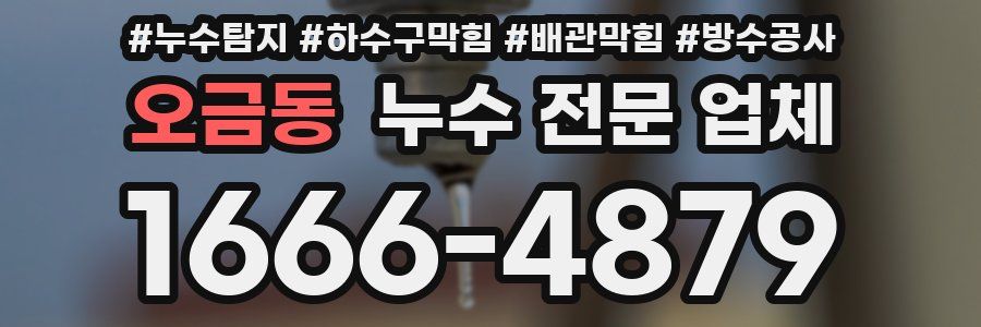 오금동 누수 전문 업체