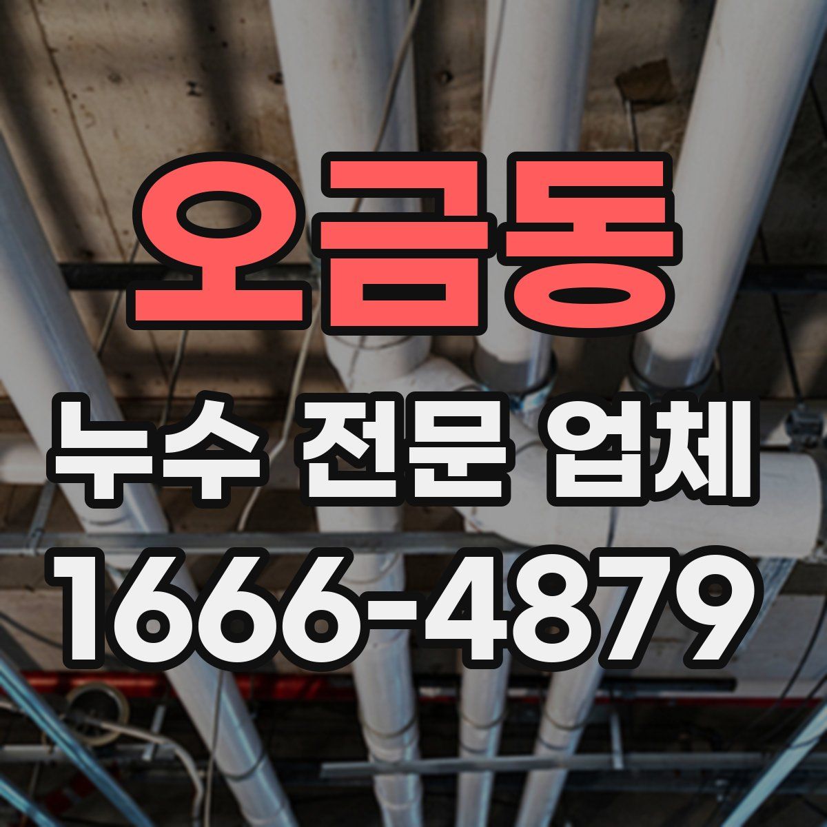 오금동 누수 전문 업체