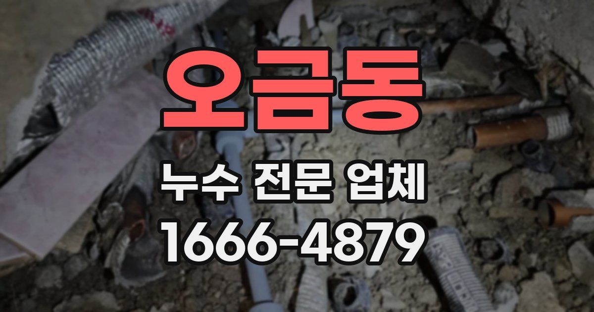 오금동 누수 전문 업체