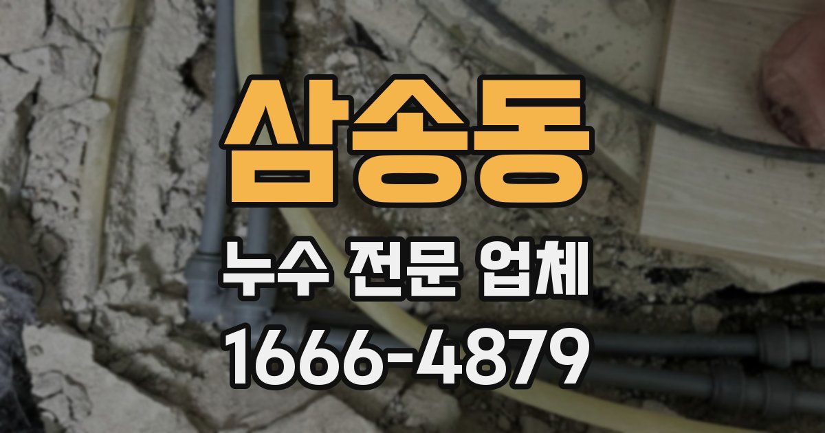 삼송동 누수 전문 업체