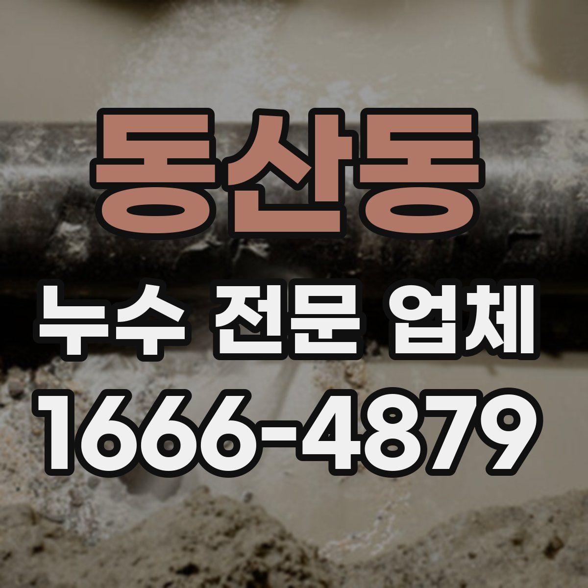 동산동 누수 전문 업체