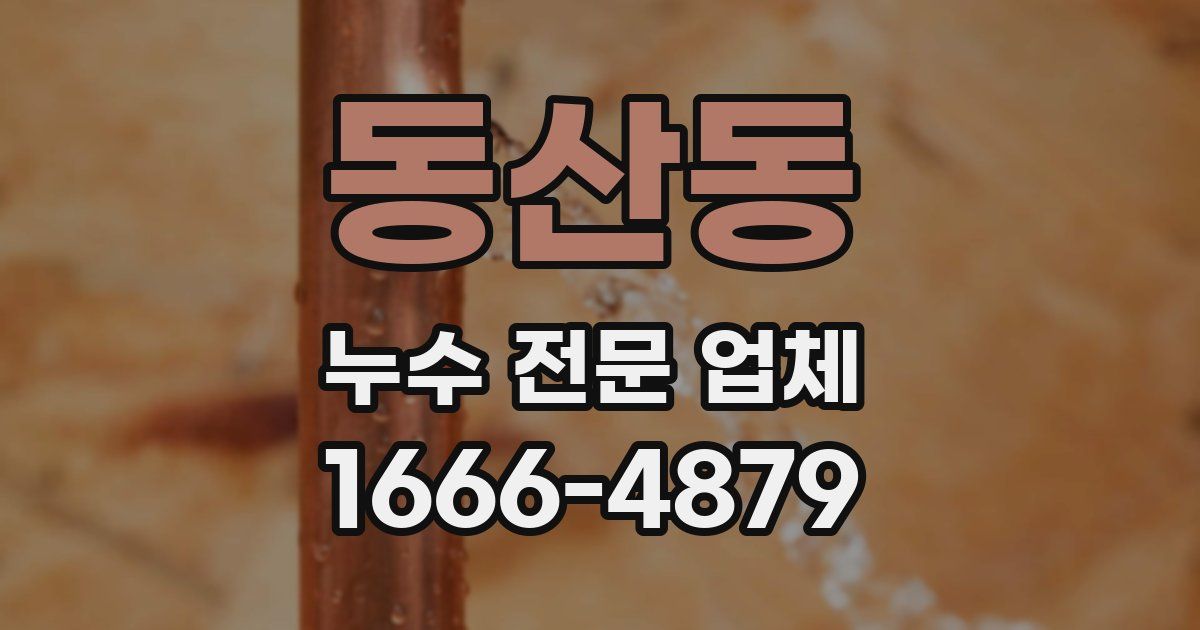 동산동 누수 전문 업체