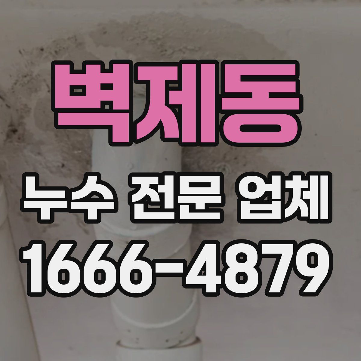 벽제동 누수 전문 업체