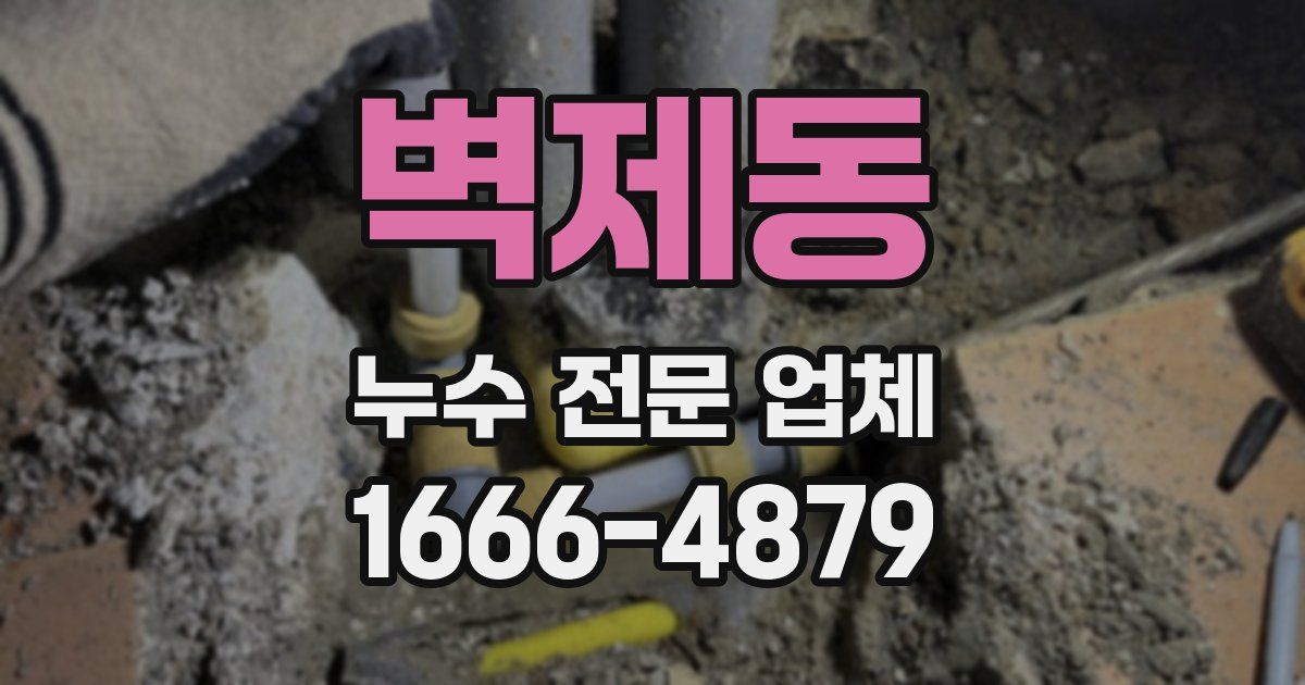 벽제동 누수 전문 업체