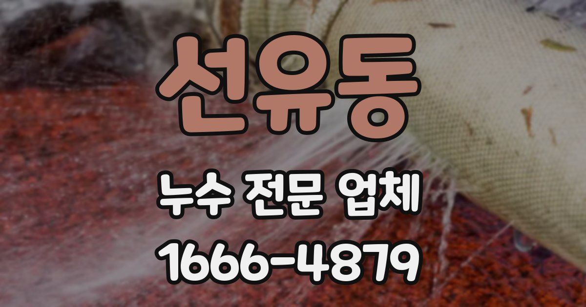 선유동 누수 전문 업체