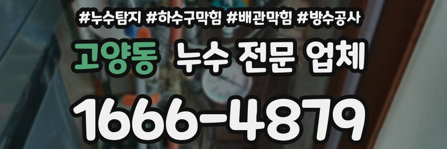 고양동 누수 전문 업체