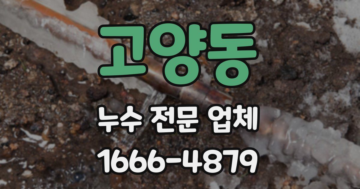 고양동 누수 전문 업체
