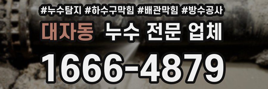 대자동 누수 전문 업체