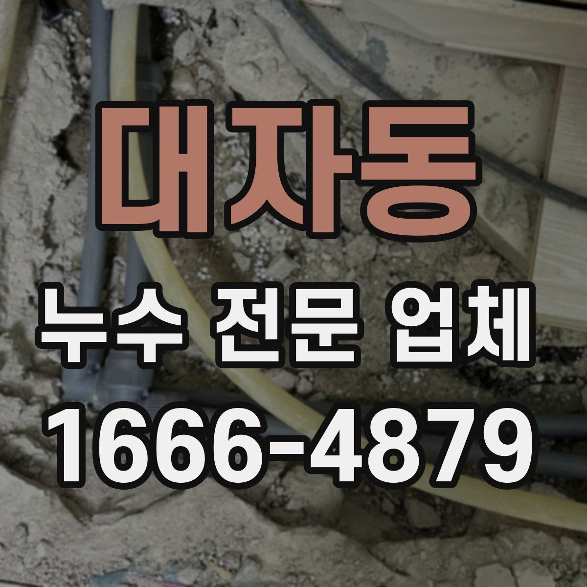대자동 누수 전문 업체