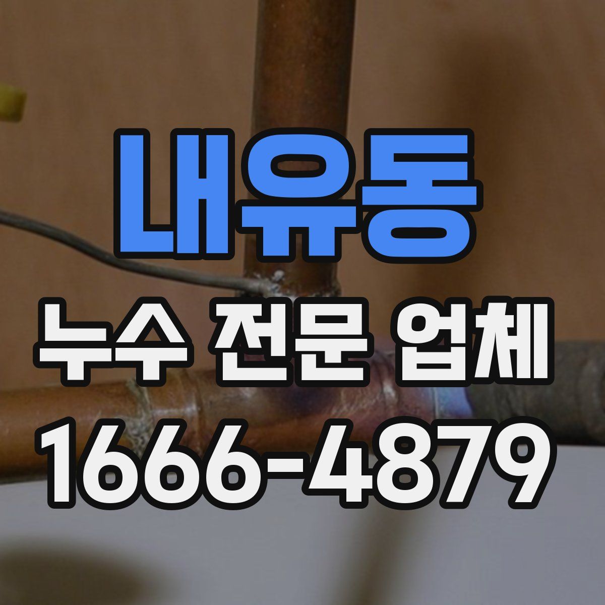 내유동 누수 전문 업체