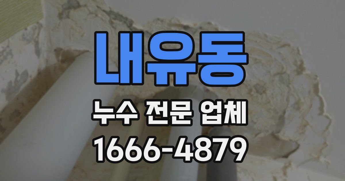 내유동 누수 전문 업체
