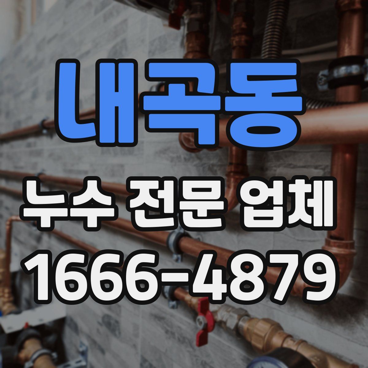 내곡동 누수 전문 업체