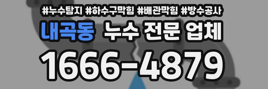 내곡동 누수 전문 업체