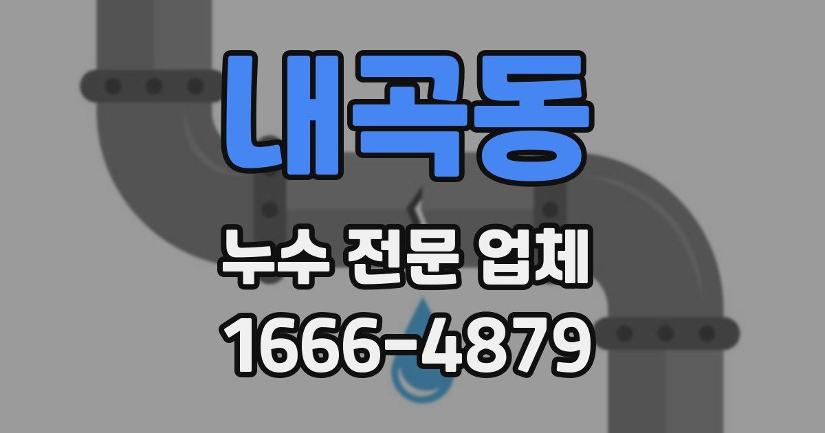 내곡동 누수 전문 업체