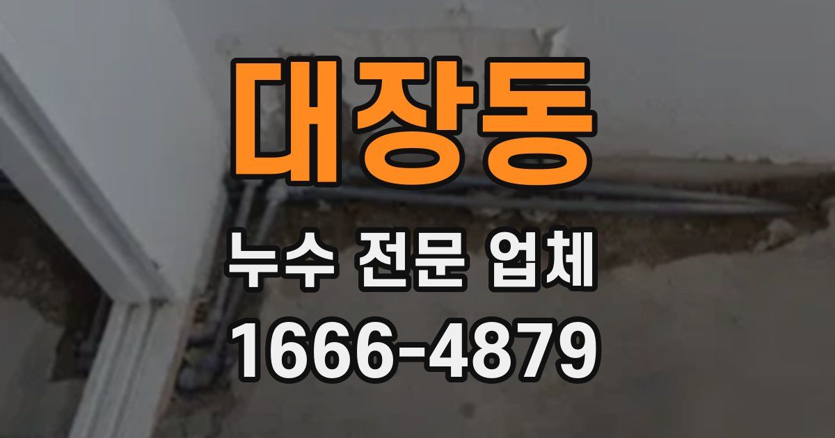 대장동 누수 전문 업체