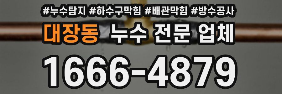 대장동 누수 전문 업체
