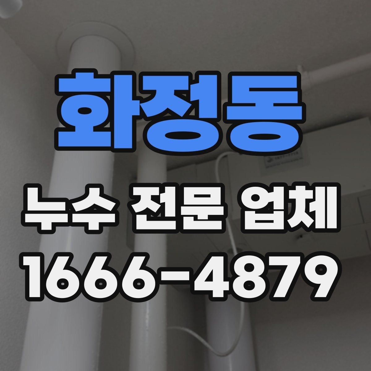 화정동 누수 전문 업체