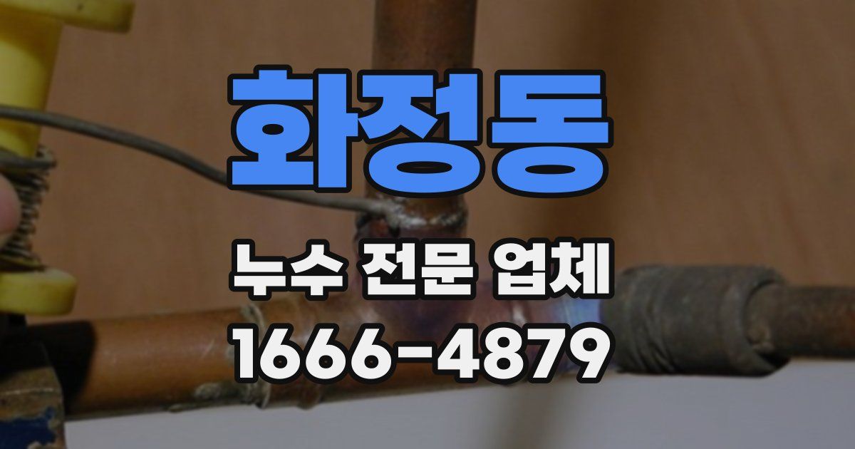 화정동 누수 전문 업체