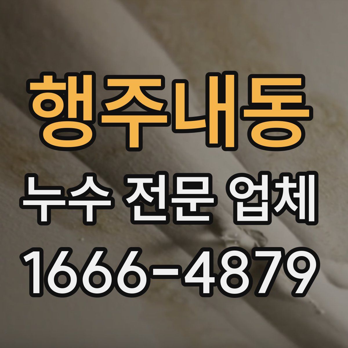 행주내동 누수 전문 업체