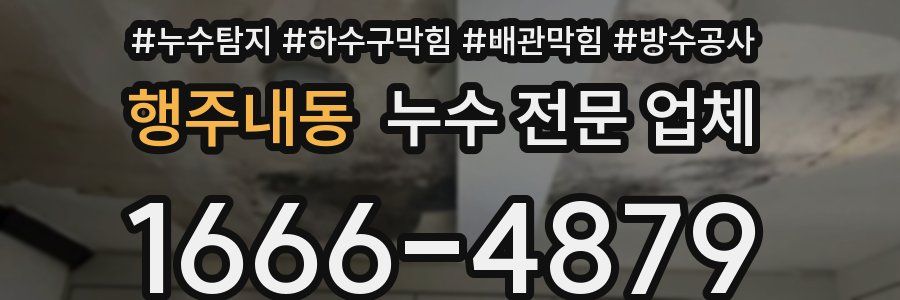 행주내동 누수 전문 업체