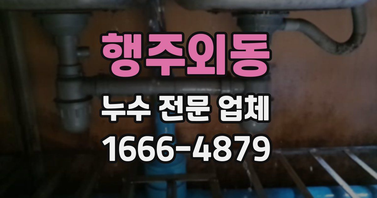행주외동 누수 전문 업체