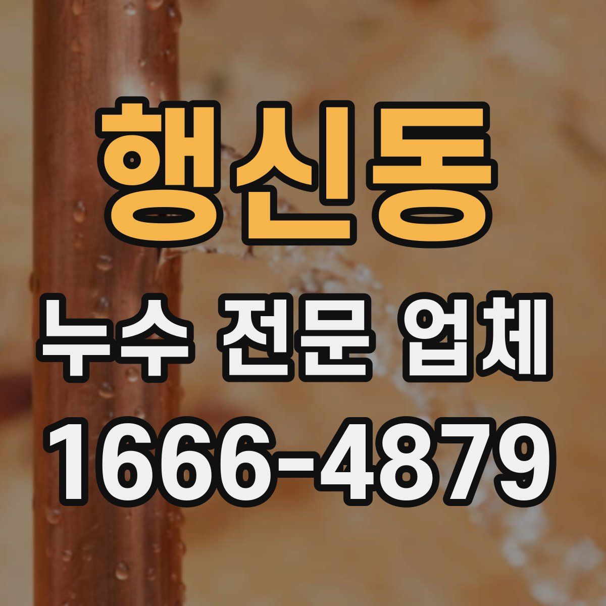 행신동 누수 전문 업체