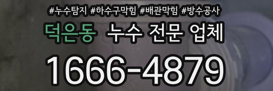 덕은동 누수 전문 업체
