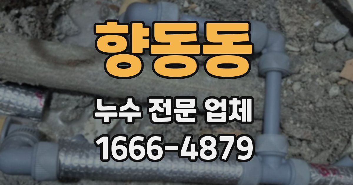 향동동 누수 전문 업체