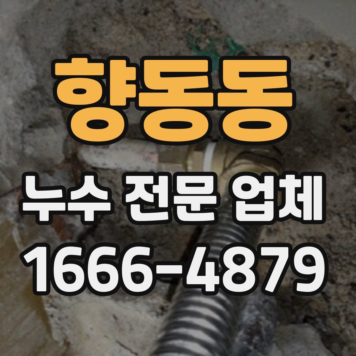 향동동 누수 전문 업체