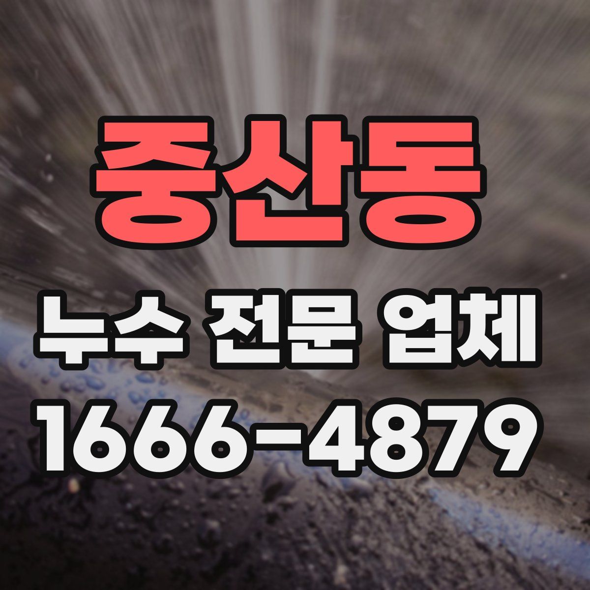 중산동 누수 전문 업체