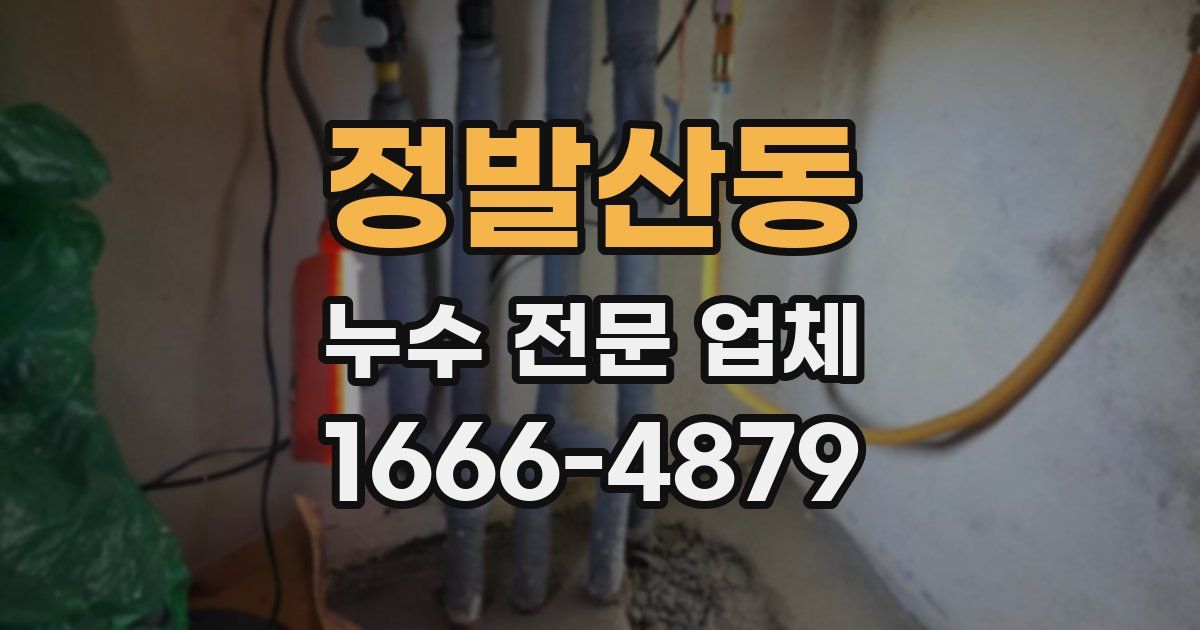 정발산동 누수 전문 업체