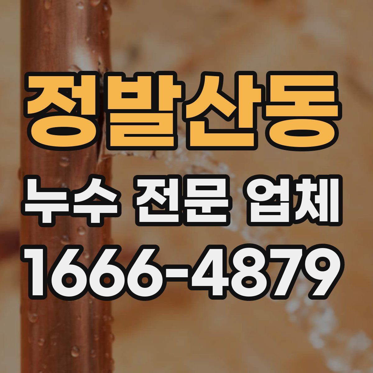 정발산동 누수 전문 업체