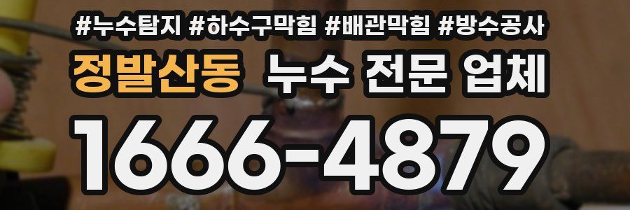 정발산동 누수 전문 업체