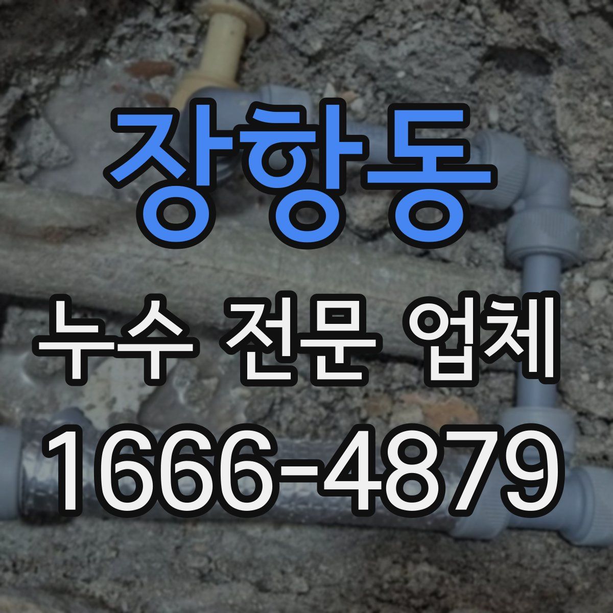 장항동 누수 전문 업체